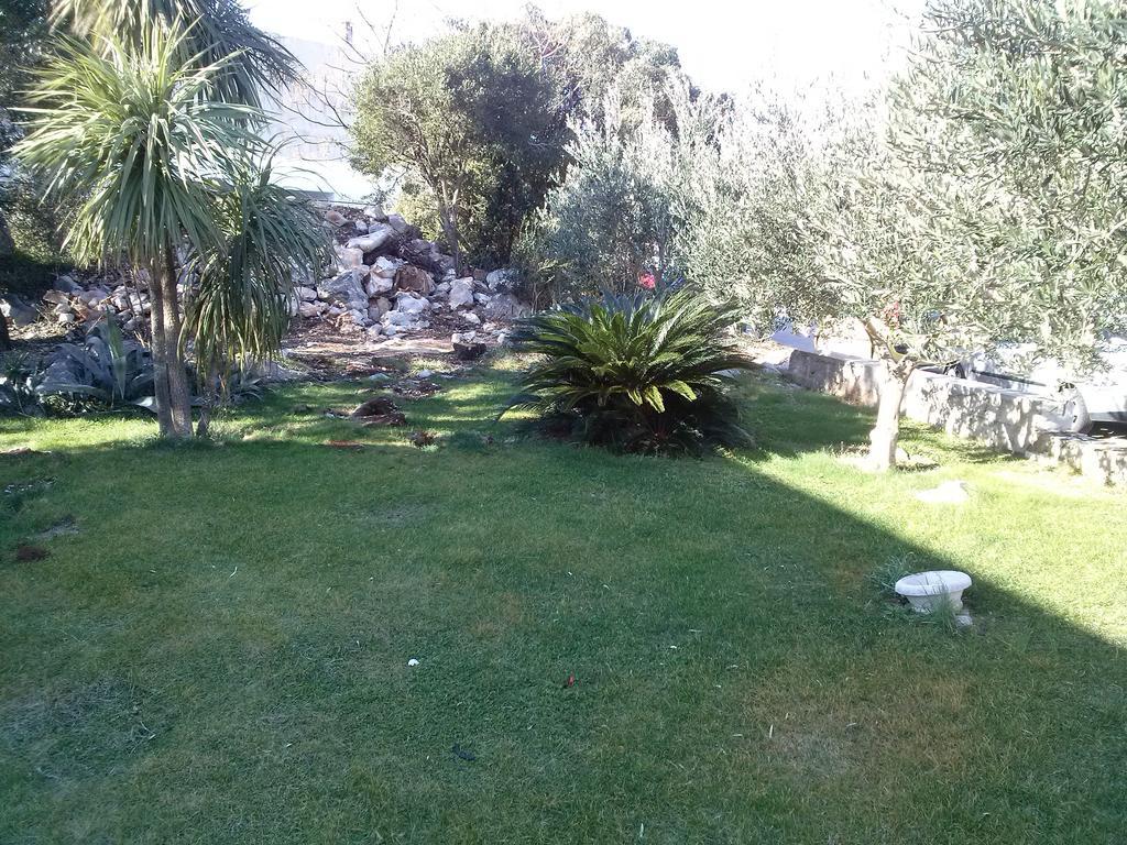 Private Carevic Guest house 2*